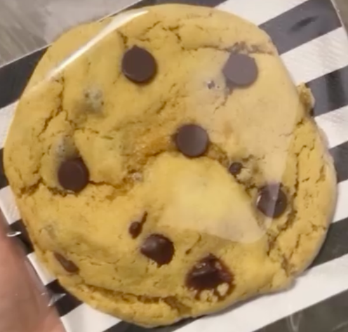 Chocolate Chip
